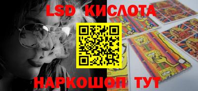 PSILOCYBIN Кунгур