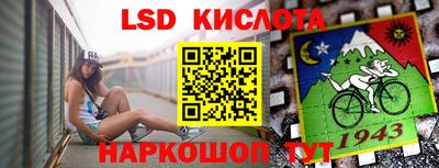 PSILOCYBIN Кунгур