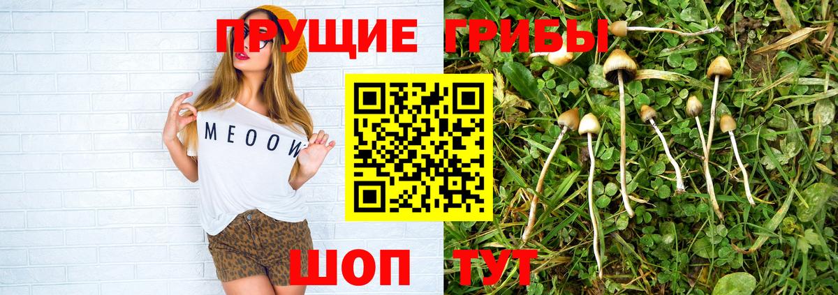 Галлюциногенные грибы мухоморы Санкт-Петербург