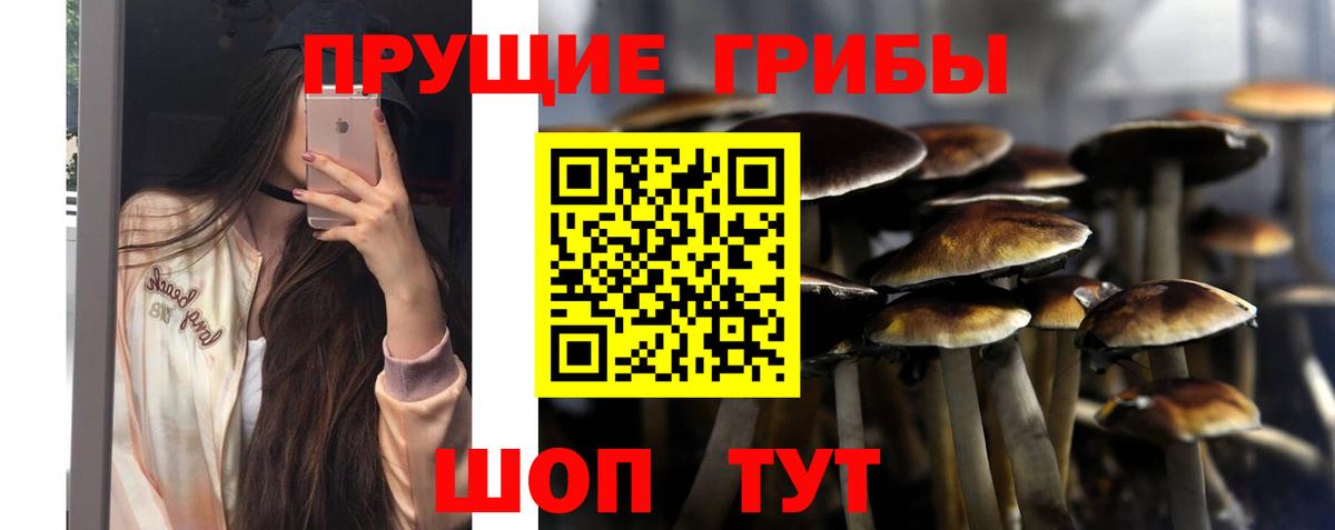 Санкт-Петербург  Галлюциногенные грибы GOLDEN TEACHER  Вход с VPN  Галлюциногенные грибы ЛСД 
